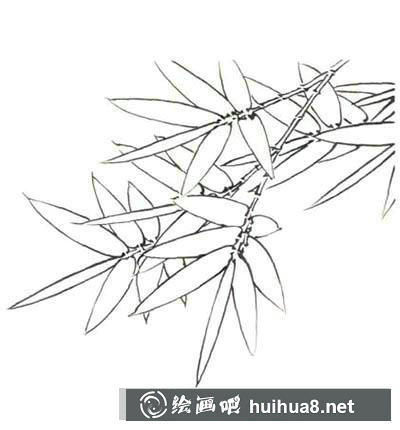 國(guó)畫(huà)教程：白描竹子繪制要點(diǎn)