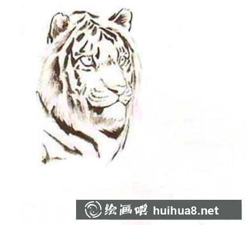 老虎國畫 老虎國畫