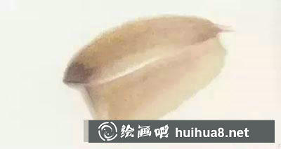 國(guó)畫(huà)教程：蓮藕的繪制步驟