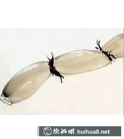 國(guó)畫(huà)教程：蓮藕的繪制步驟