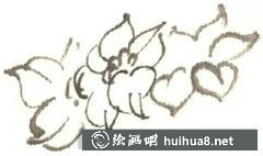 國(guó)畫(huà)教程水墨水仙花繪制方法