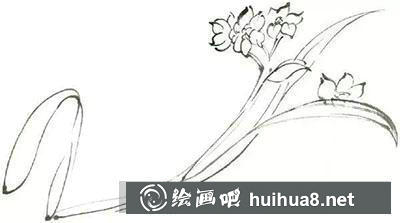國畫教程-怎么繪制水墨水仙花