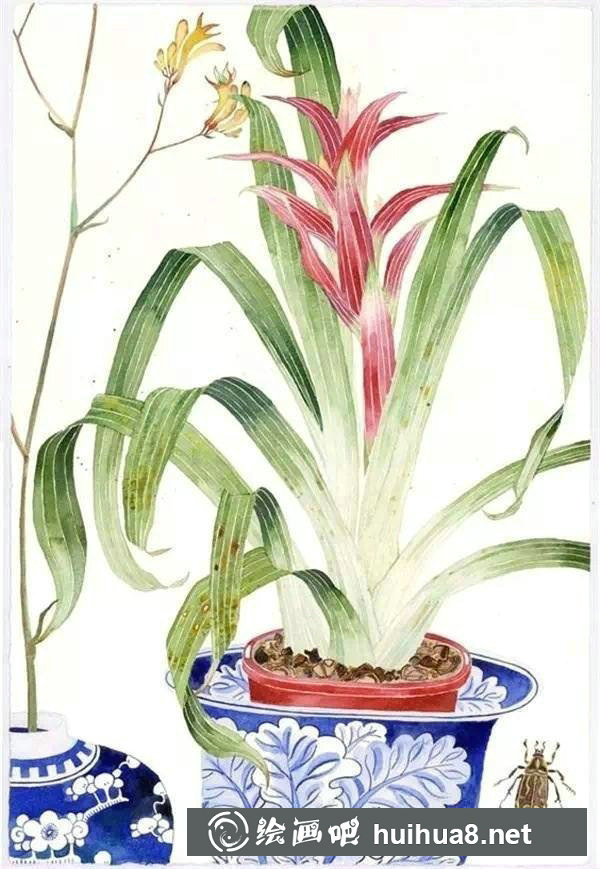 中國(guó)風(fēng)水彩畫花卉作品