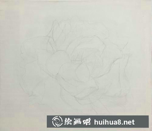 牡丹花油畫教程