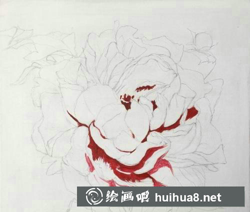 牡丹花油畫教程