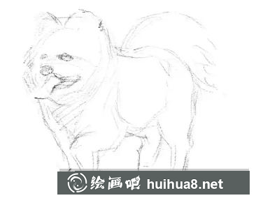 小狗的畫法