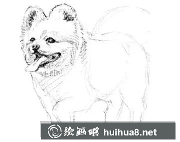 小狗的畫法
