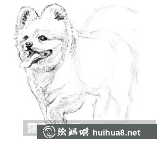小狗的畫法