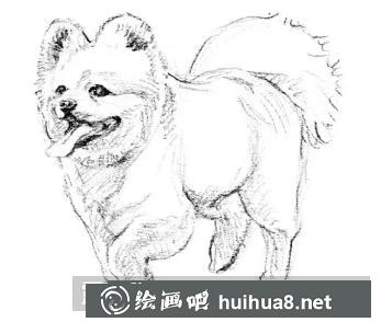 小狗的畫法