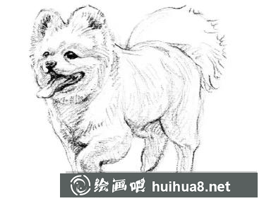 小狗的畫法
