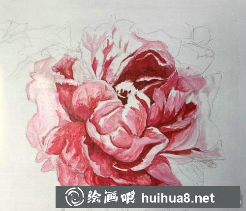 牡丹花油畫教程