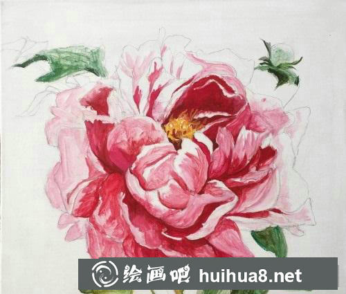 牡丹花油畫教程