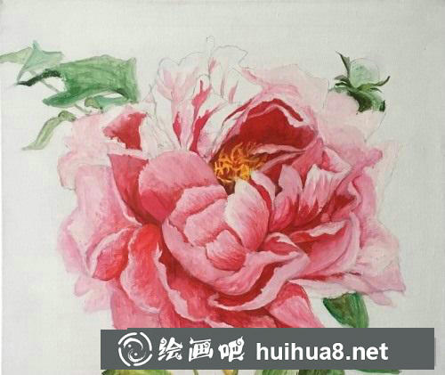 牡丹花油畫教程