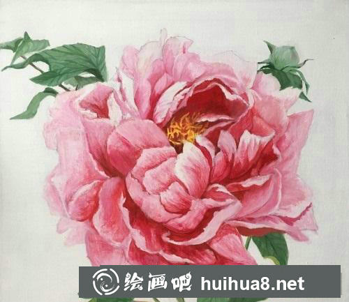 牡丹花油畫教程