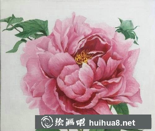 牡丹花油畫教程