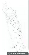 國(guó)畫(huà)教程孔雀繪制技巧