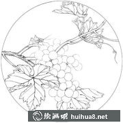 國(guó)畫(huà)教程繪制葡萄水珠技巧