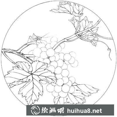 國(guó)畫教程-怎么繪制葡萄水珠