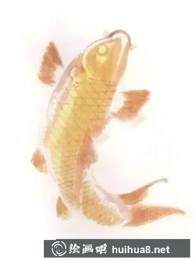 怎么繪制紅色鯉魚