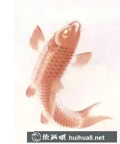 怎么繪制紅色鯉魚