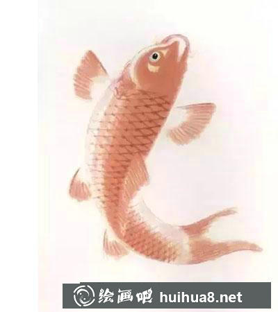 怎么繪制紅色鯉魚