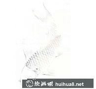 繪制金色鯉魚(yú)教程