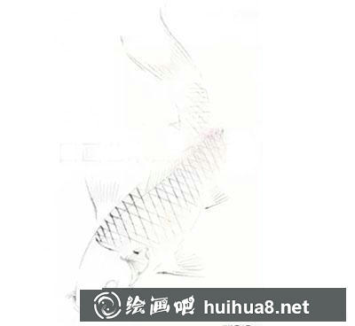 怎么繪制金色鯉魚