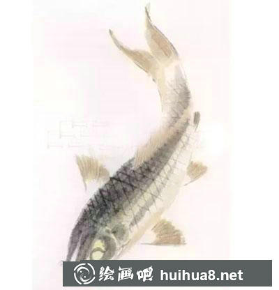 怎么繪制金色鯉魚