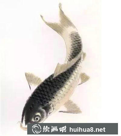 怎么繪制金色鯉魚