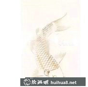 國(guó)畫(huà)教程繪制紅白花錦鯉