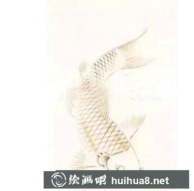 國畫教程-怎么繪制紅白花錦鯉