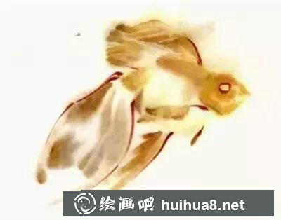 國畫教程-怎么繪制金魚魚鰭