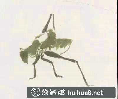 怎么繪制彩墨畫蟈蟈