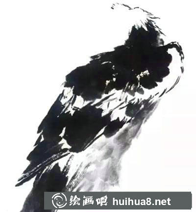 國(guó)畫(huà)鷹繪制步驟二