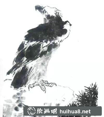 國(guó)畫(huà)鷹繪制步驟三