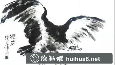 鷹各種姿勢(shì)的繪制方法 鷹各種姿勢(shì)的繪制方法