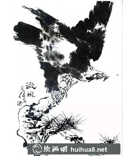 鷹各種姿勢(shì)的繪制方法 鷹各種姿勢(shì)的繪制方法