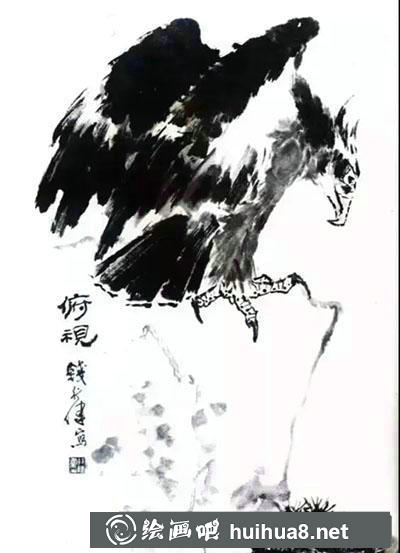鷹各種姿勢(shì)的繪制方法 鷹各種姿勢(shì)的繪制方法
