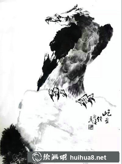 鷹各種姿勢(shì)的繪制方法 鷹各種姿勢(shì)的繪制方法