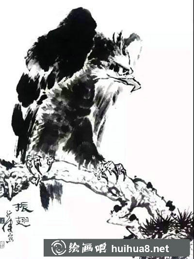 鷹各種姿勢(shì)的繪制方法 鷹各種姿勢(shì)的繪制方法