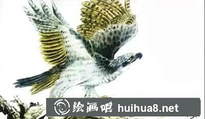 鷹的繪制技法