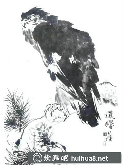鷹的繪制技法