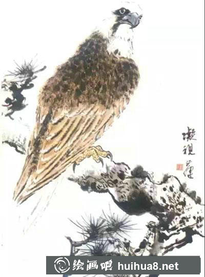 鷹的繪制技法