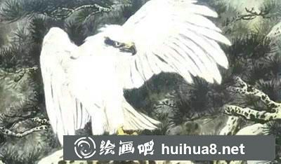 鷹的繪制技法