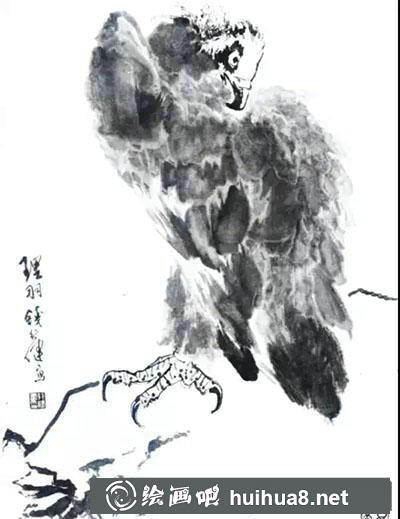 鷹的繪制技法