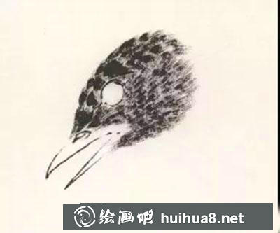 怎么繪制八哥