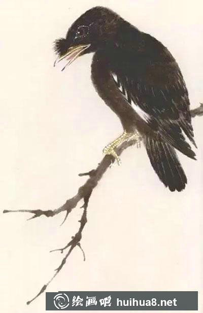 怎么繪制八哥