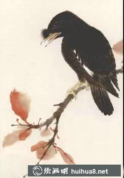 怎么繪制八哥