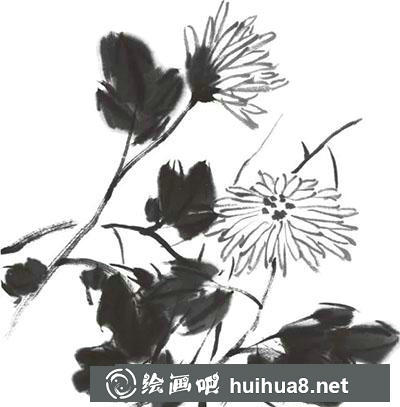怎么繪制菊花