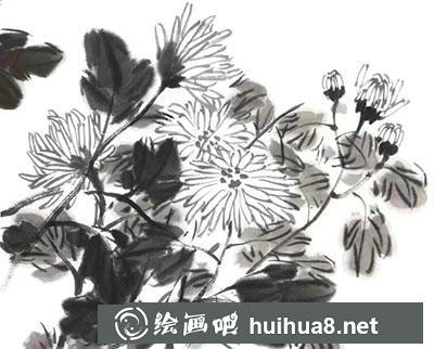 怎么繪制菊花